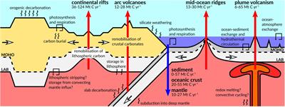 Deep Carbon Cycling Over the Past 200 Million Years: A Review of Fluxes in Different Tectonic Settings